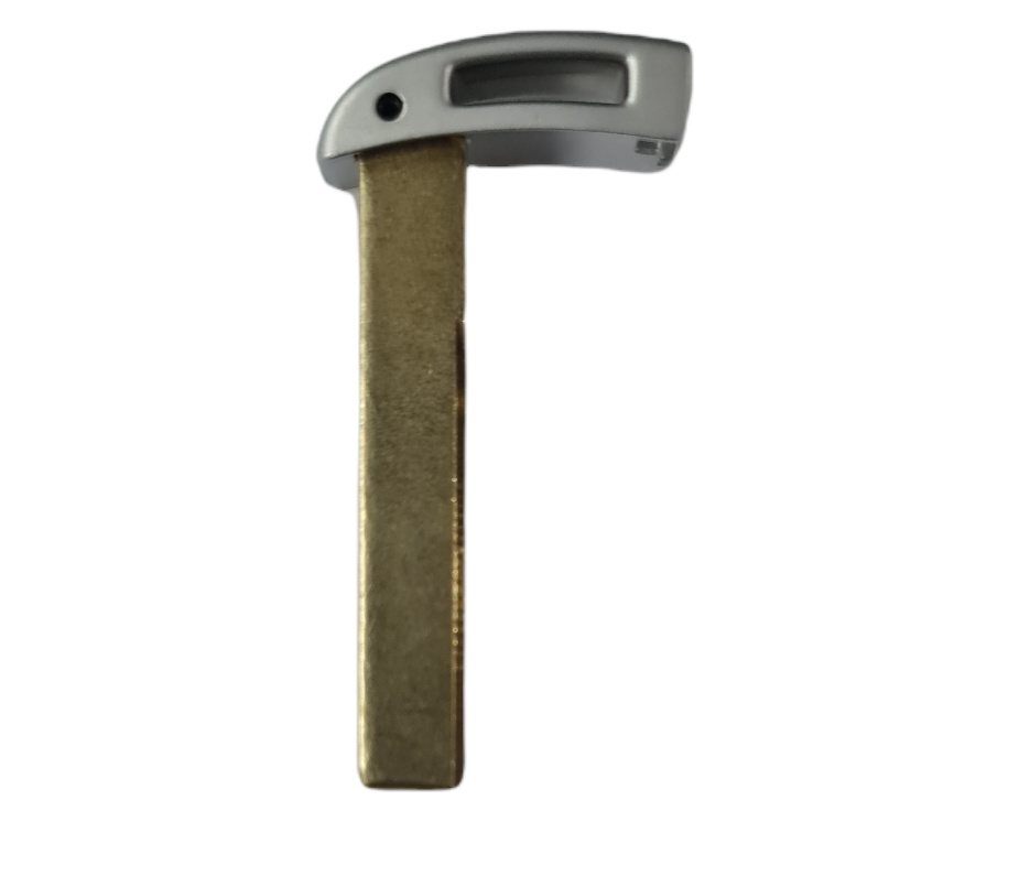 Llave Emergencia BMW CAS1