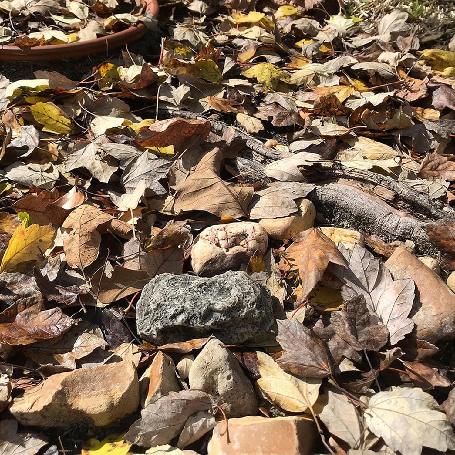 Piedra Falsa para Esconder Llaves al Aire Libre