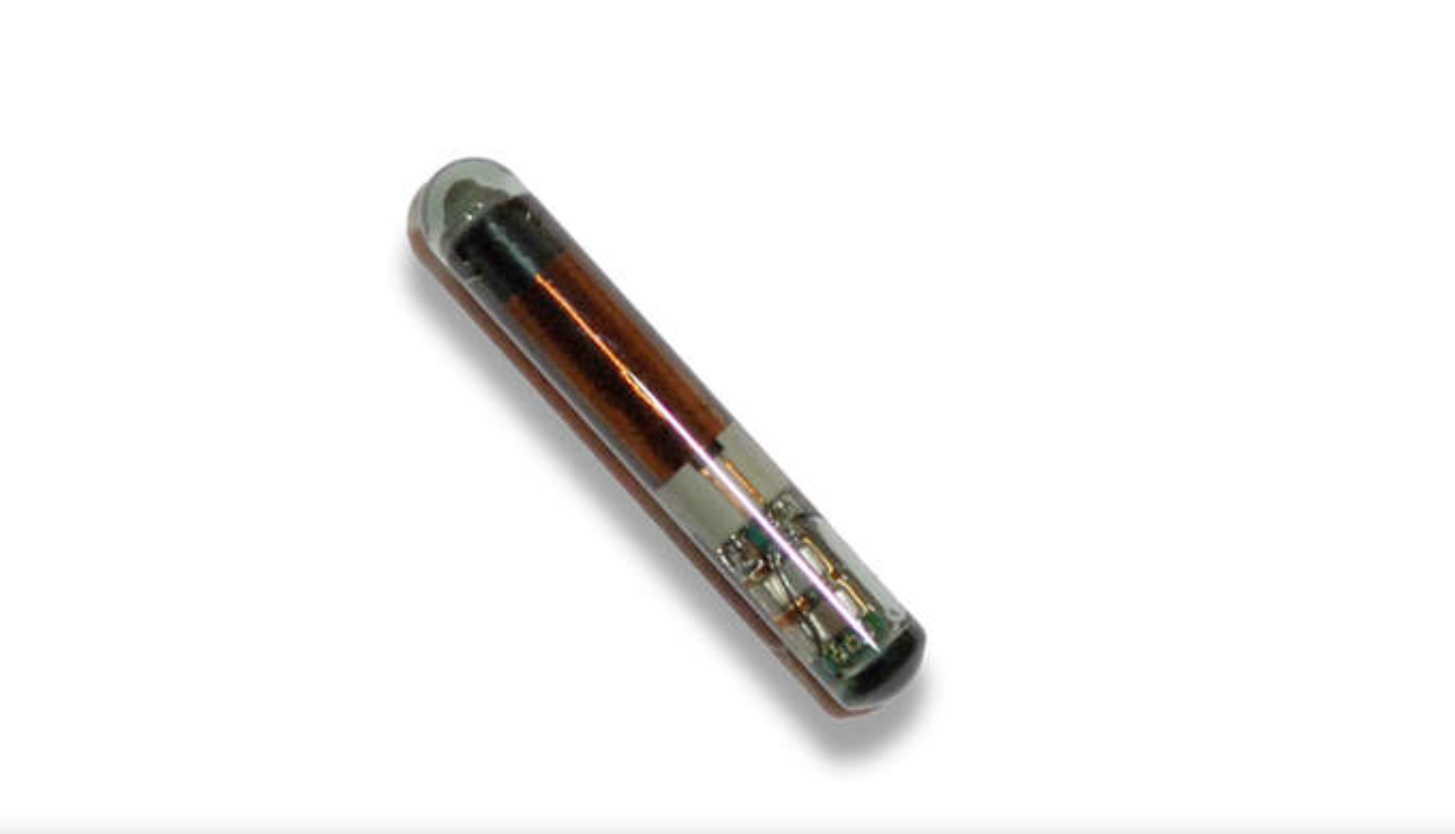 Transponder LKP02 cristal (Chip)